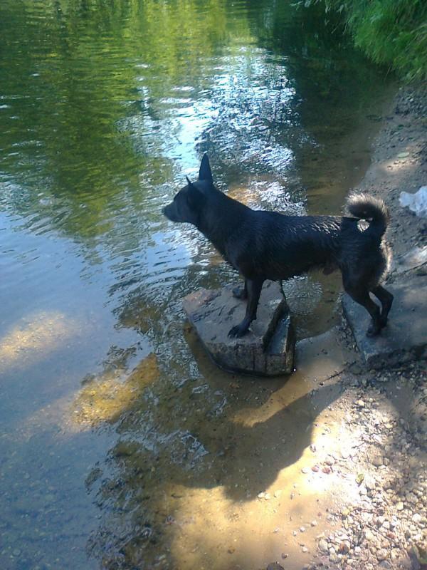 Alma uploaded   86  day/s  ago