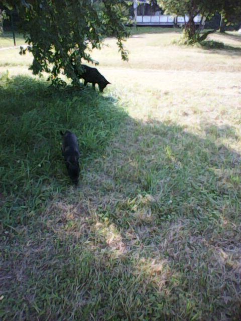 Alma uploaded   86  day/s  ago