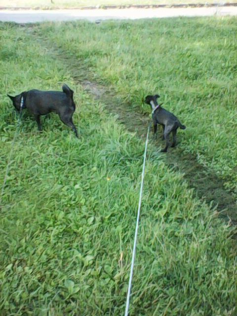 Alma uploaded   86  day/s  ago