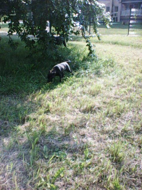 Alma uploaded   86  day/s  ago