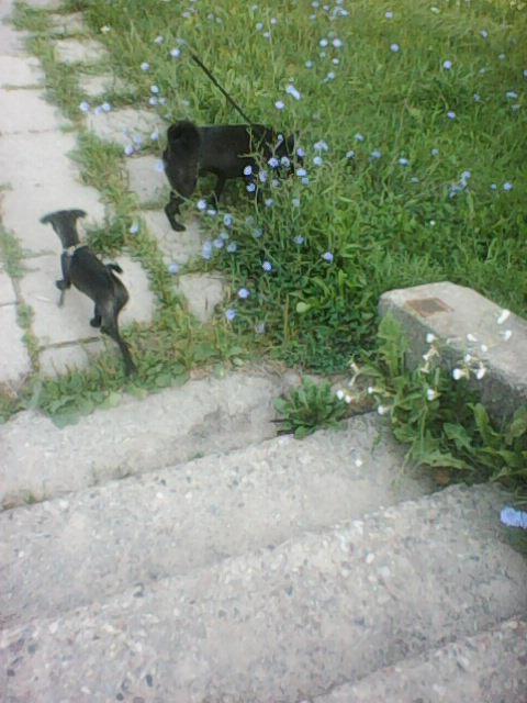 Alma uploaded   86  day/s  ago