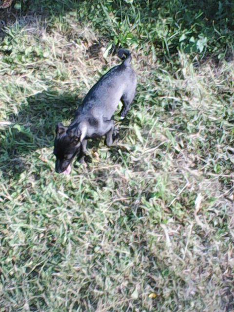 Alma uploaded   86  day/s  ago