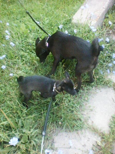 Alma uploaded   86  day/s  ago