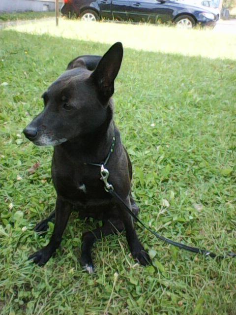 Alma uploaded   86  day/s  ago