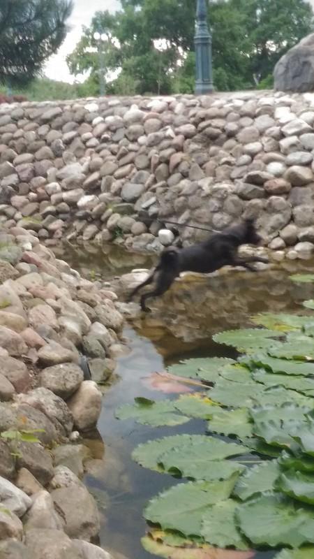 Alma uploaded   86  day/s  ago