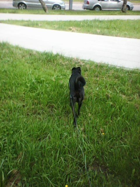 Alma uploaded   86  day/s  ago