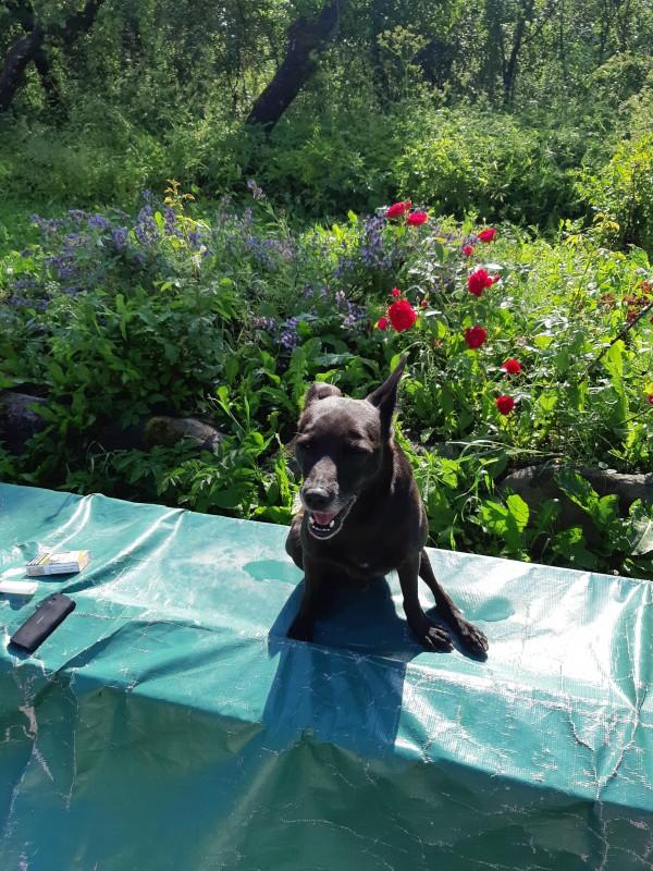 Alma uploaded   86  day/s  ago