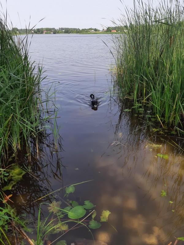 Alma uploaded   86  day/s  ago