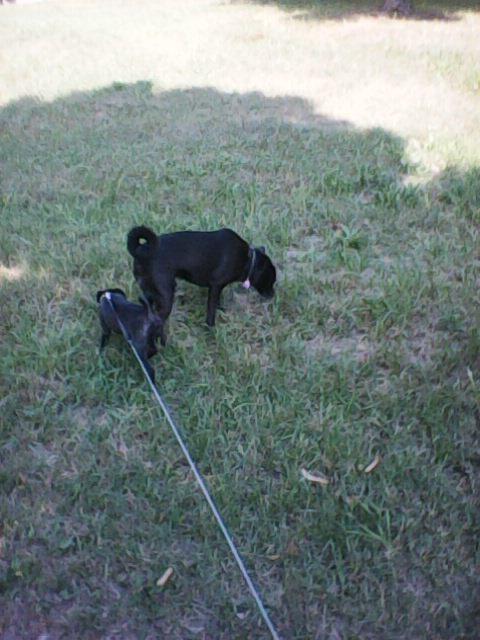 Alma uploaded   86  day/s  ago