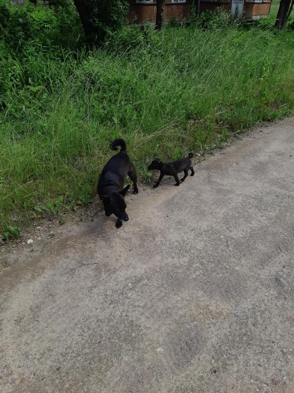 Alma uploaded   86  day/s  ago