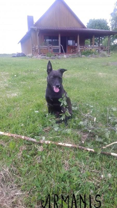 Alma uploaded   86  day/s  ago