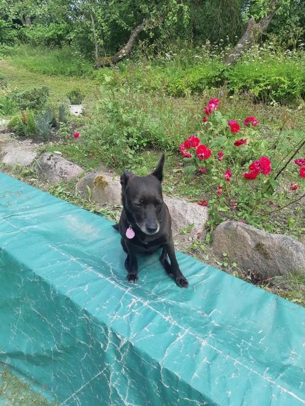 Alma uploaded   86  day/s  ago