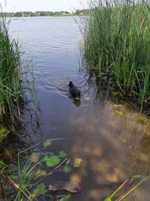 Alma uploaded   86  day/s  ago