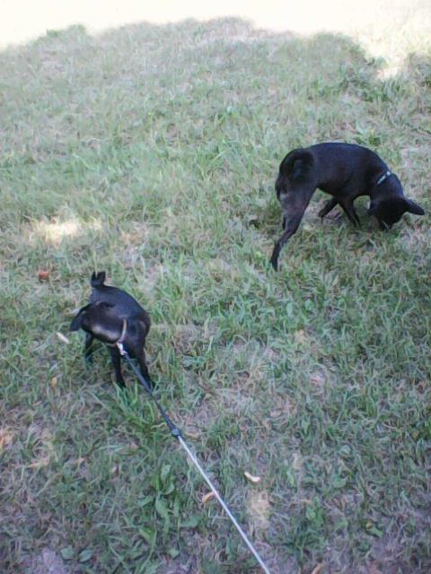 Alma uploaded   86  day/s  ago