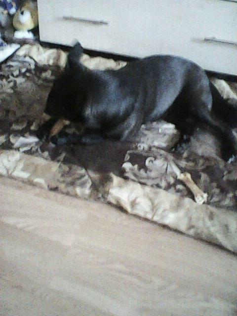 Alma uploaded   86  day/s  ago