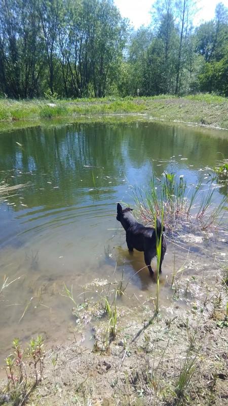 Alma uploaded   86  day/s  ago