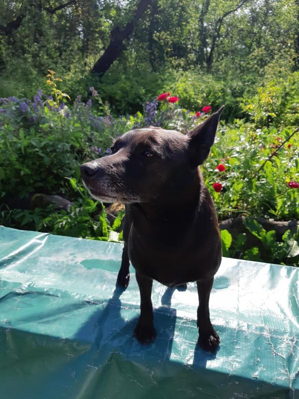 Alma uploaded   86  day/s  ago