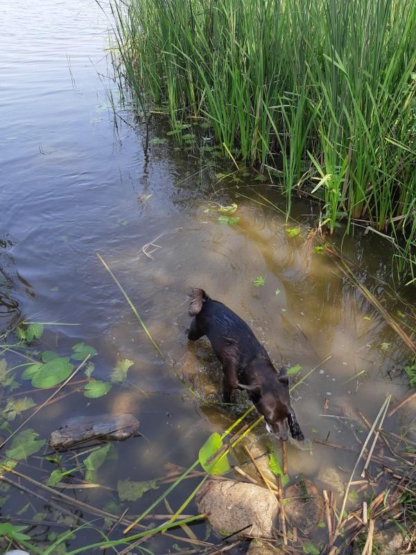 Alma uploaded   86  day/s  ago