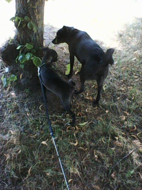 Alma uploaded   86  day/s  ago