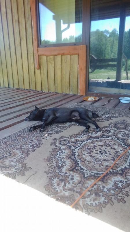 Alma uploaded   86  day/s  ago