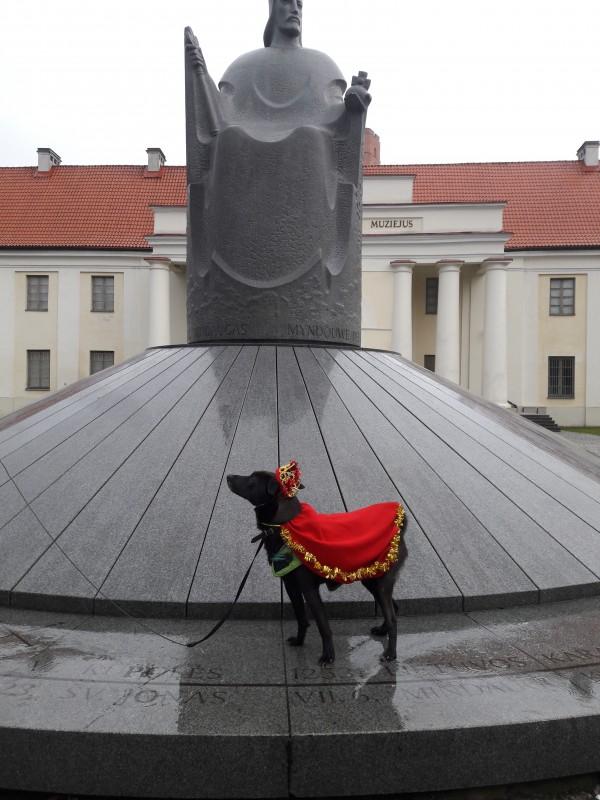 Alma uploaded   86  day/s  ago