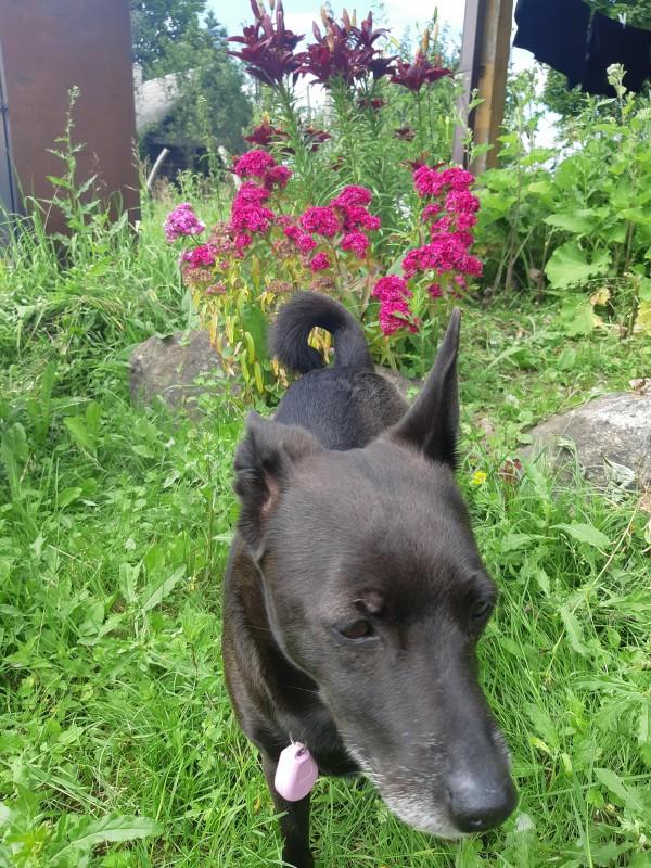 Alma uploaded   86  day/s  ago