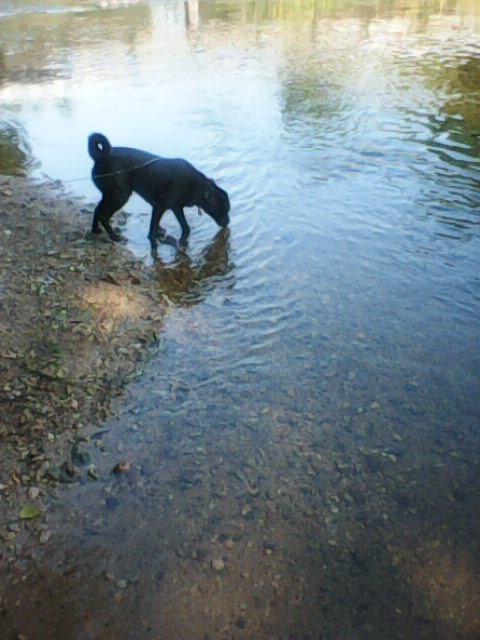 Alma uploaded   86  day/s  ago