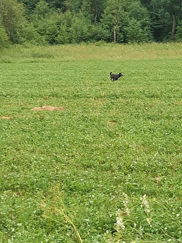 Alma uploaded   86  day/s  ago