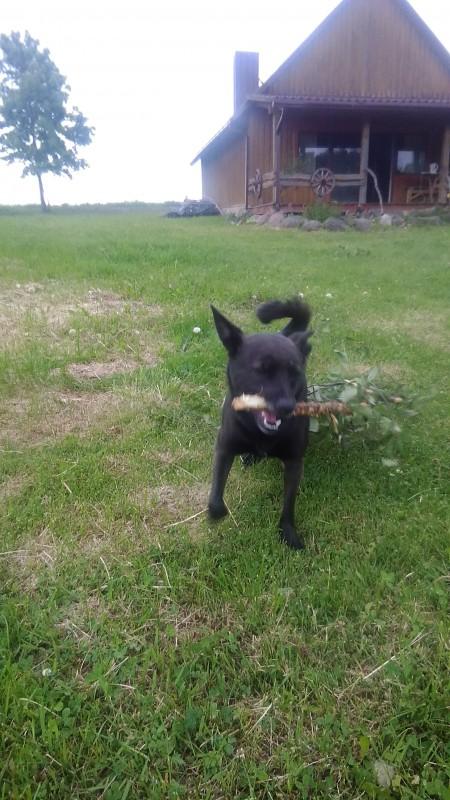 Alma uploaded   86  day/s  ago