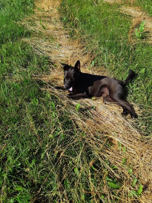 Alma uploaded   86  day/s  ago