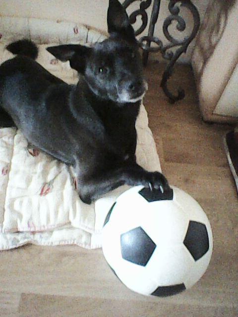 Alma uploaded   86  day/s  ago