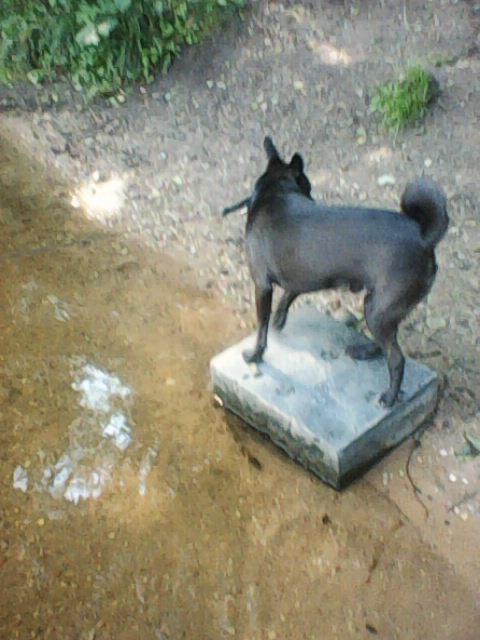 Alma uploaded   86  day/s  ago