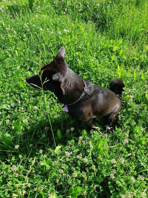 Alma uploaded   86  day/s  ago