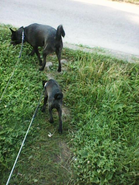 Alma uploaded   86  day/s  ago