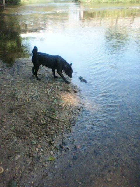 Alma uploaded   86  day/s  ago