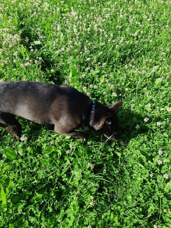 Alma uploaded   86  day/s  ago