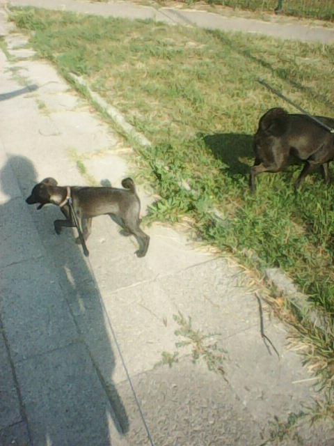 Alma uploaded   86  day/s  ago