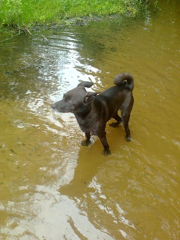 Alma uploaded   86  day/s  ago