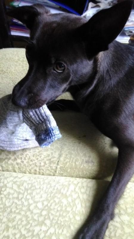 Alma uploaded   86  day/s  ago