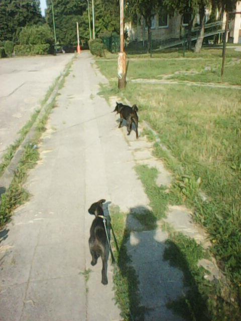 Alma uploaded   86  day/s  ago