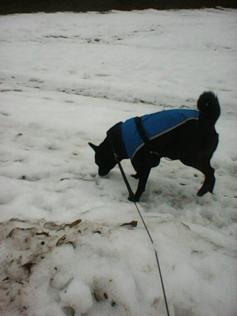 Alma uploaded   86  day/s  ago