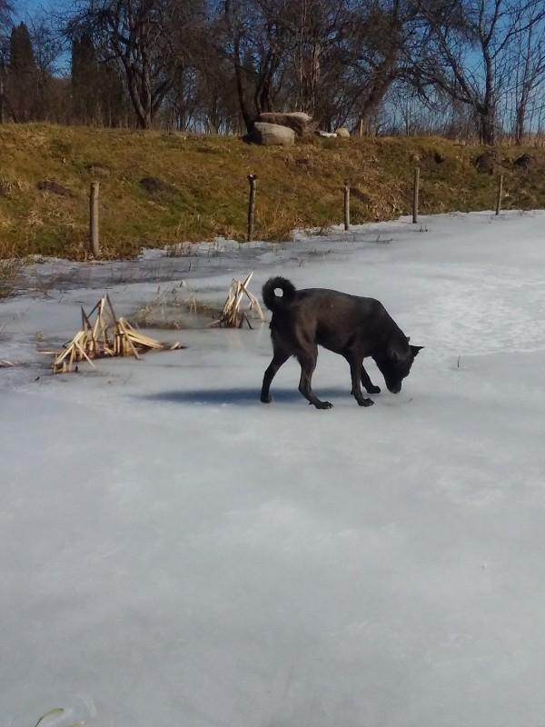 Alma uploaded   86  day/s  ago