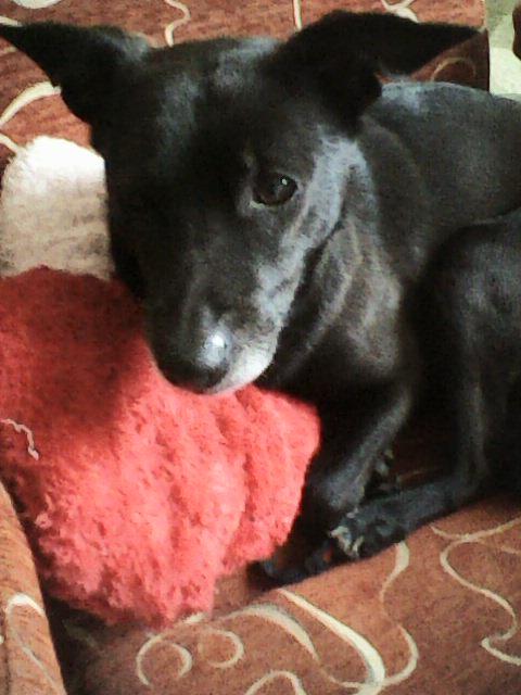 Alma uploaded   86  day/s  ago