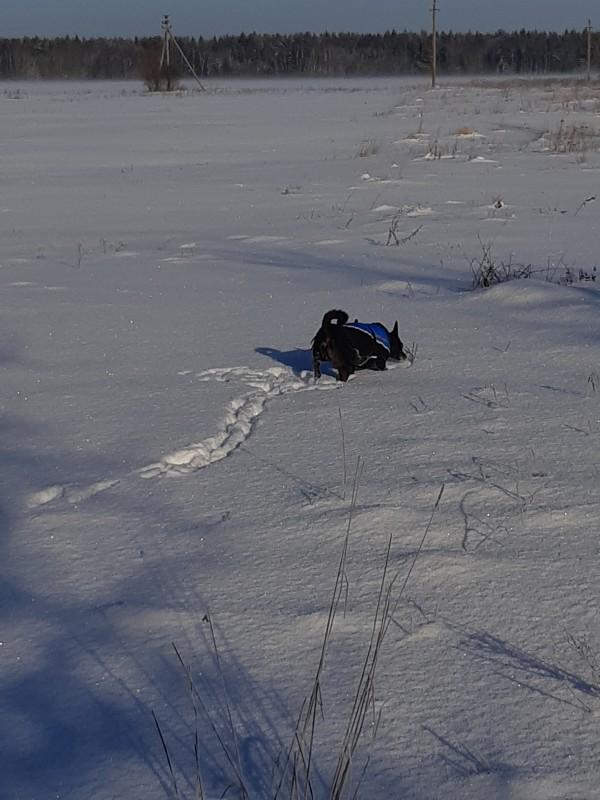 Alma uploaded   86  day/s  ago