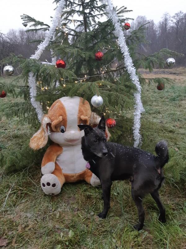 Alma uploaded   86  day/s  ago