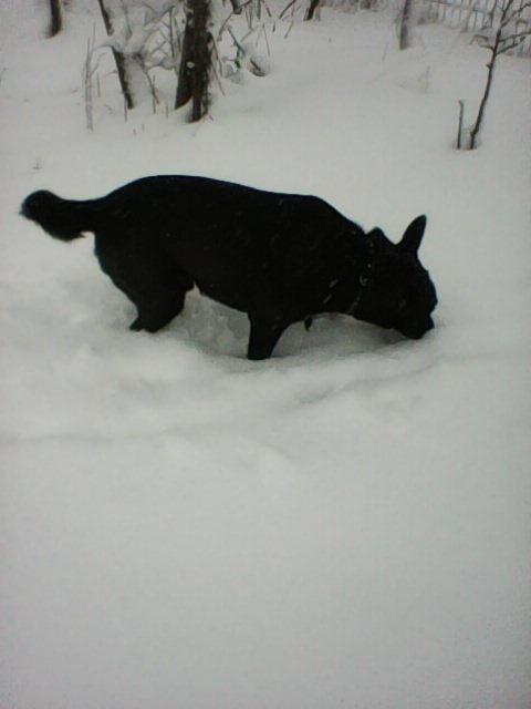 Alma uploaded   86  day/s  ago