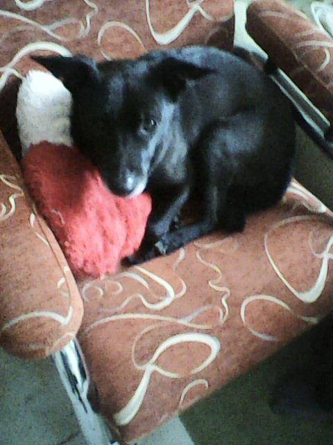 Alma uploaded   86  day/s  ago