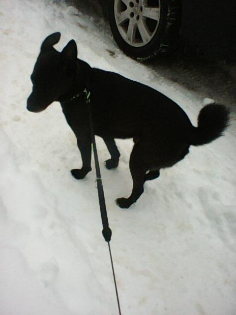 Alma uploaded   86  day/s  ago