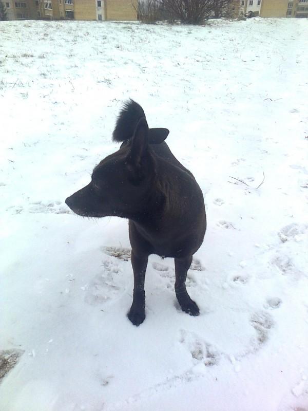 Alma uploaded   86  day/s  ago