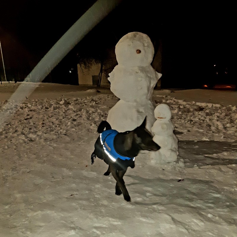 Alma uploaded   86  day/s  ago